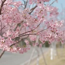 泉州旅游 缩略图 3