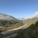普洱旅游 缩略图 5