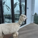 普洱旅游 缩略图 6