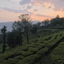 昆明旅游 缩略图 5