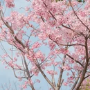 泉州旅游 缩略图 2
