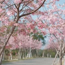 泉州旅游 缩略图 1