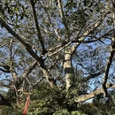 普洱旅游 缩略图 3