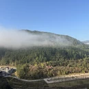普洱旅游 缩略图 4