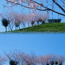 宁德旅游 缩略图 1