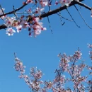 宁德旅游 缩略图 5