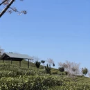 宁德旅游 缩略图 15