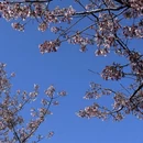 宁德旅游 缩略图 13