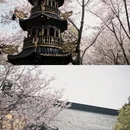 九江旅游 缩略图 2