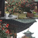九江旅游 缩略图 7