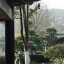 九江旅游 缩略图 8