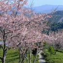 宁德旅游 缩略图 8