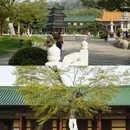 九江旅游 缩略图 3