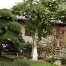 九江旅游 缩略图 9