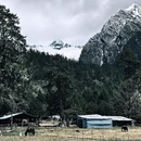 林芝旅游 缩略图 4