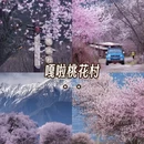 林芝旅游 缩略图 2