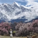 林芝旅游 缩略图 1