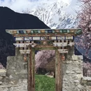 林芝旅游 缩略图 7