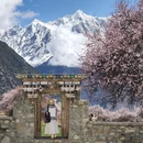 林芝旅游 缩略图 5