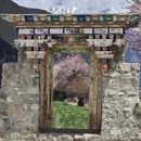 林芝旅游 缩略图 11