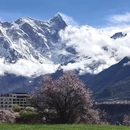 林芝旅游 缩略图 12