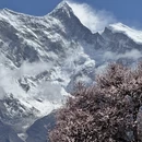 林芝旅游 缩略图 13