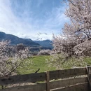 林芝旅游 缩略图 10