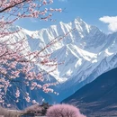 林芝旅游 缩略图 6