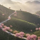 杭州旅游 缩略图 1
