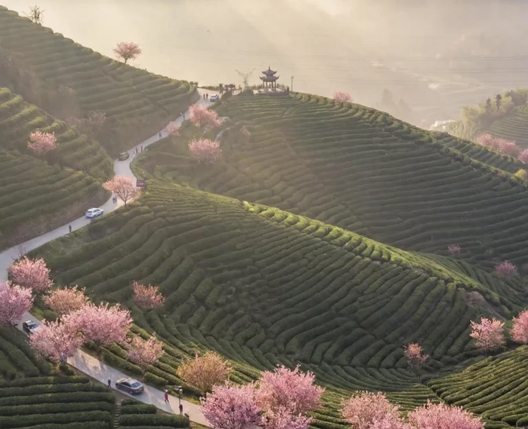 杭州旅游 1