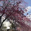 大理州旅游 缩略图 3