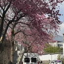 大理州旅游 缩略图 2