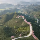 杭州旅游 缩略图 5