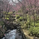 大理州旅游 缩略图 1
