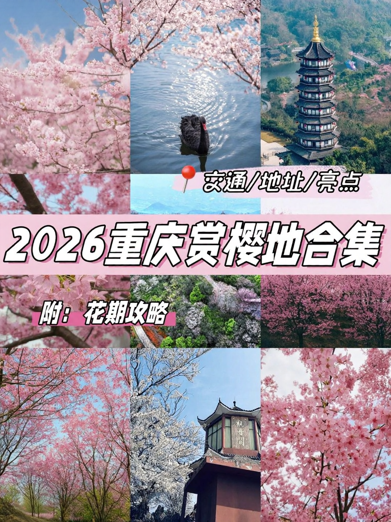 重庆旅游