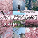 重庆旅游 缩略图 1
