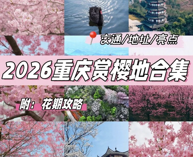 重庆旅游 1