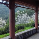 重庆旅游 缩略图 5