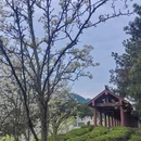 重庆旅游 缩略图 4