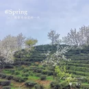 重庆旅游 缩略图 18