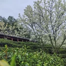 重庆旅游 缩略图 12