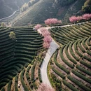 杭州旅游 缩略图 3