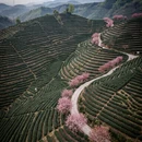 杭州旅游 缩略图 9