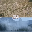 林芝旅游 缩略图 4