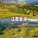林芝旅游 缩略图 2