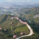 杭州旅游 缩略图 1
