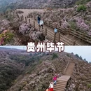 林芝旅游 缩略图 7