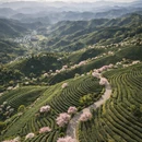 杭州旅游 缩略图 2
