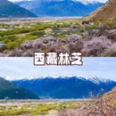 林芝旅游 缩略图 10