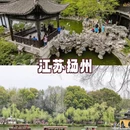 林芝旅游 缩略图 9